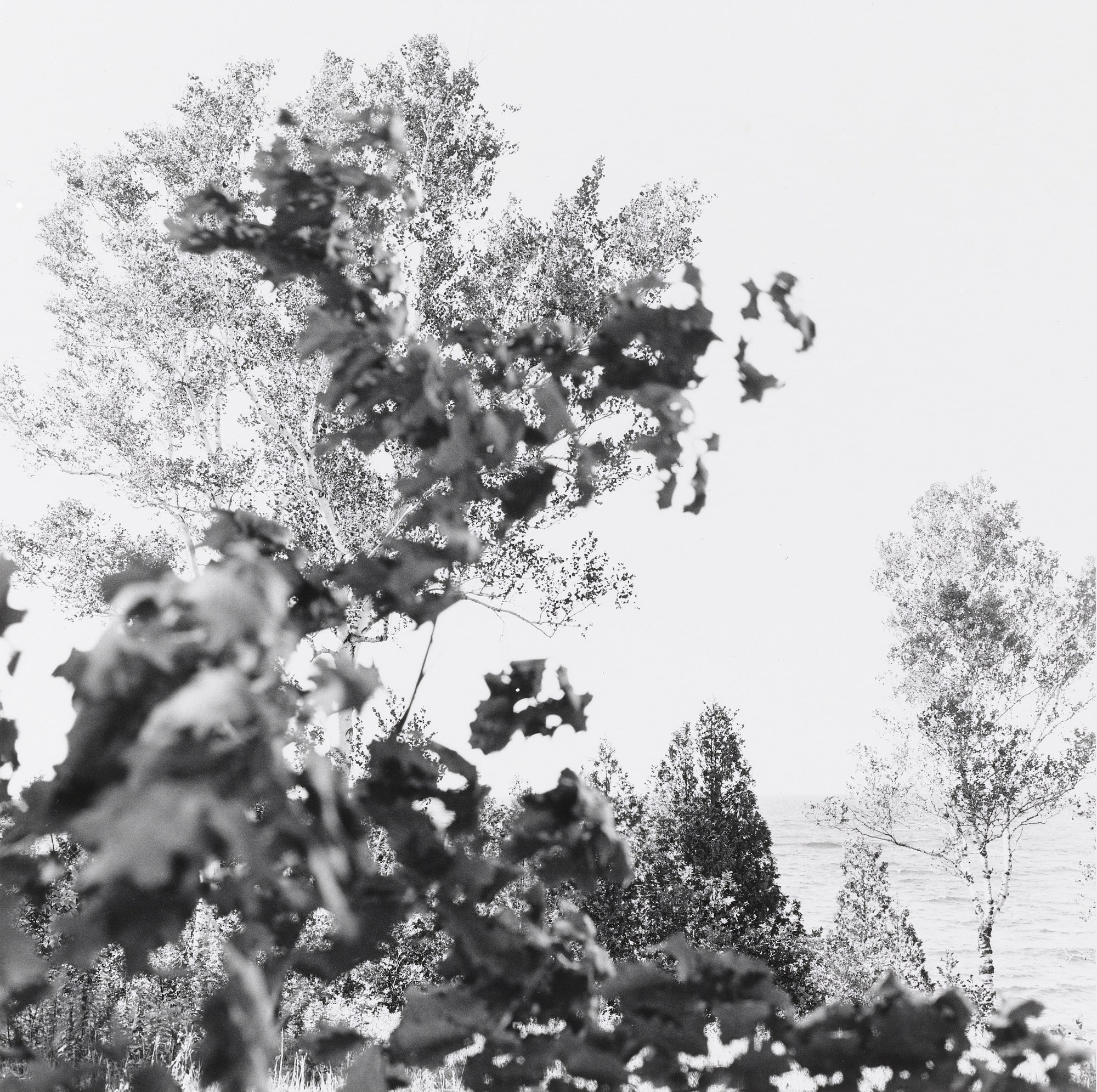 Earthly Delights