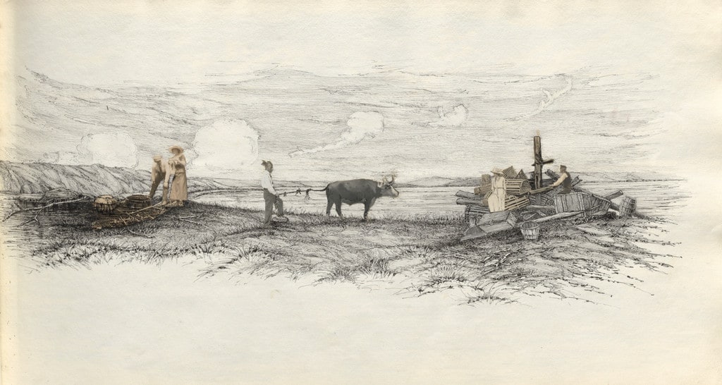 Untitled (page from album titled "July 1913")