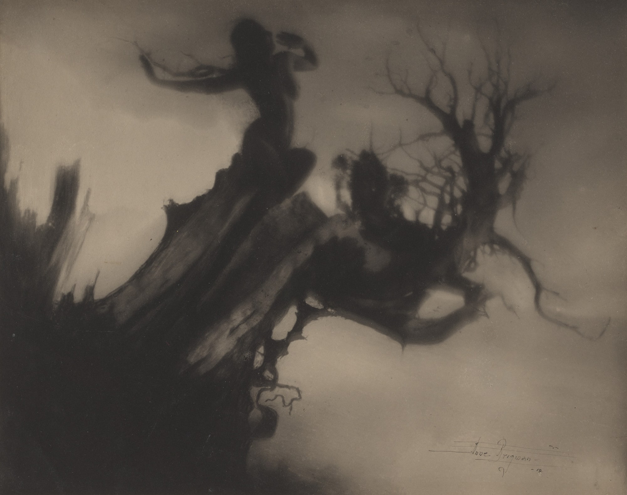 The Storm Tree