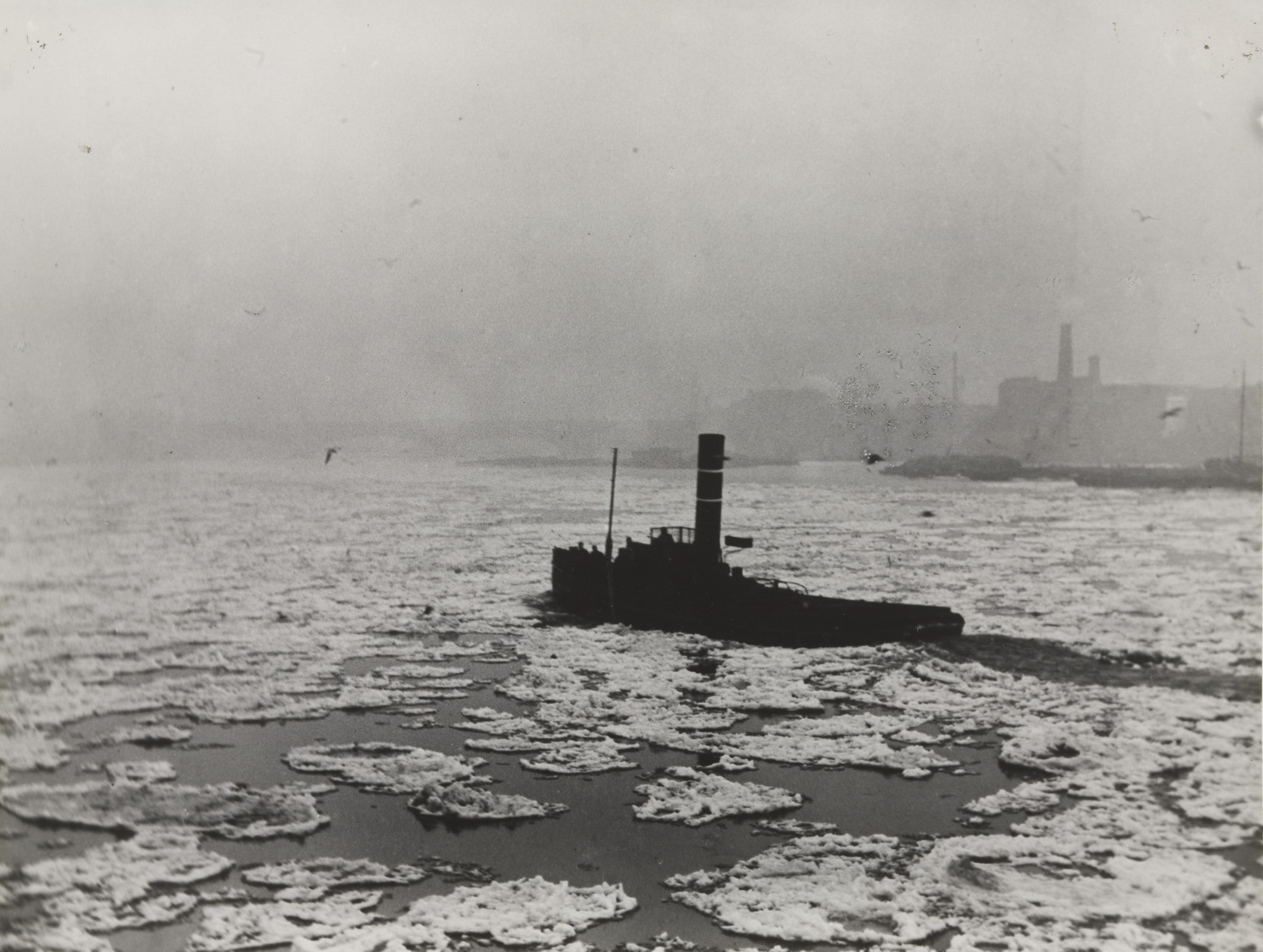 The Great Frost of 1895-96