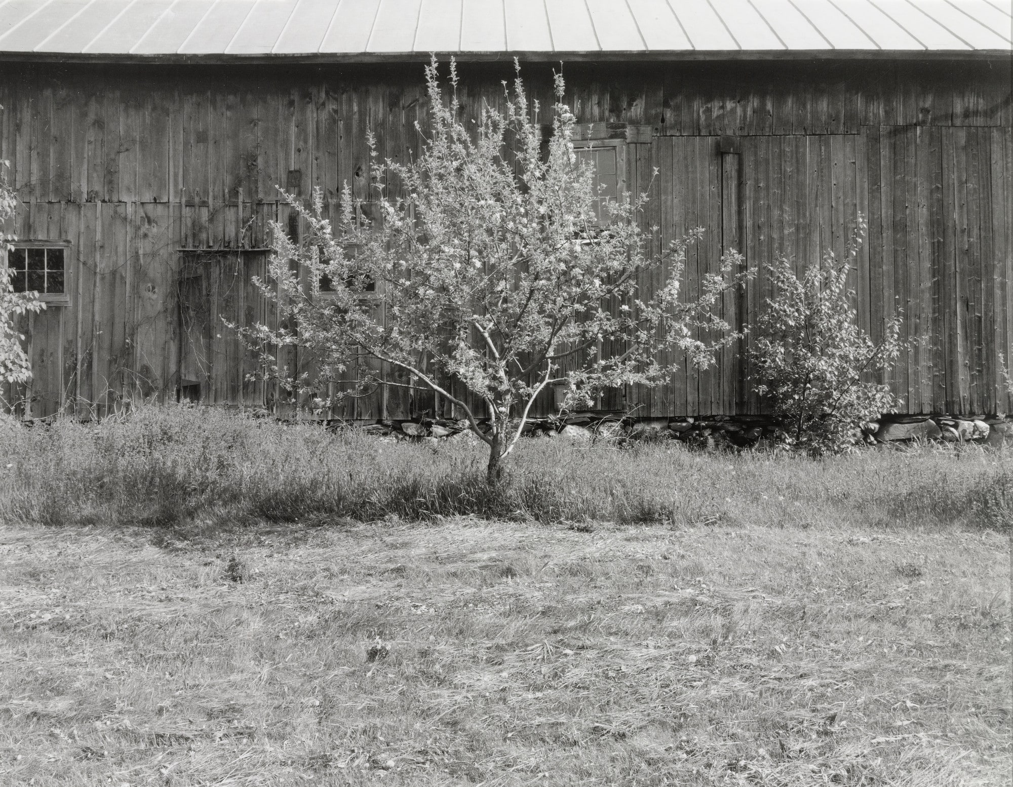 Mr. Bristol's Barn 4