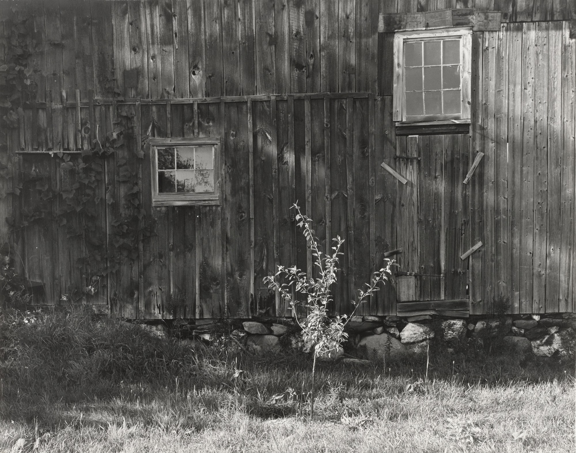 Mr. Bristol's Barn 86