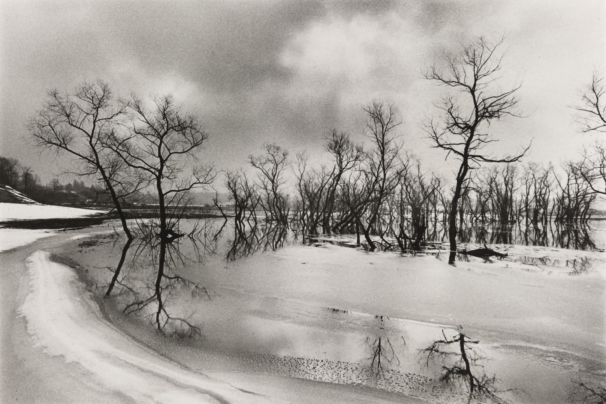 Wetlands