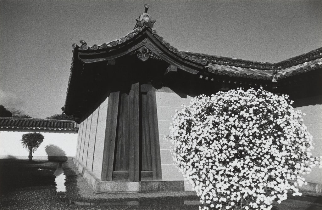 Nijo Castle of Kyoto