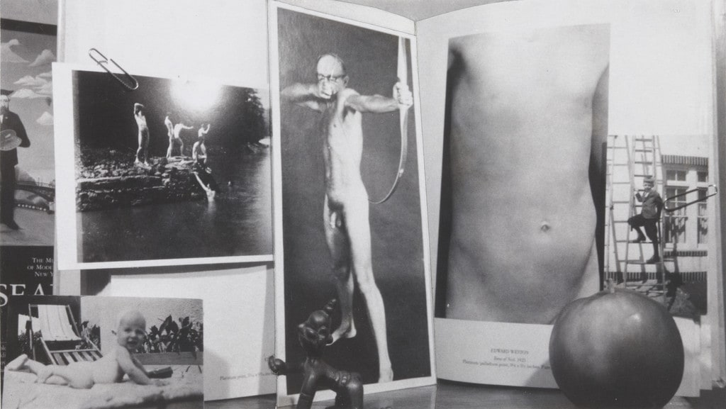 Mythic Still Life