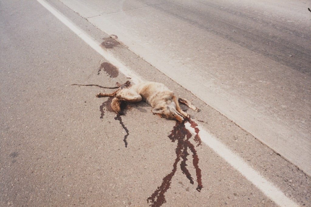 Interstate Highway Five