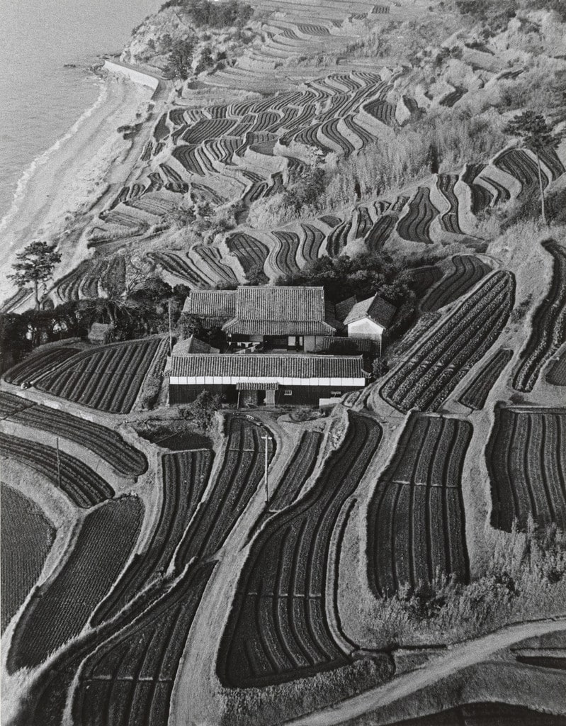 Cultivation