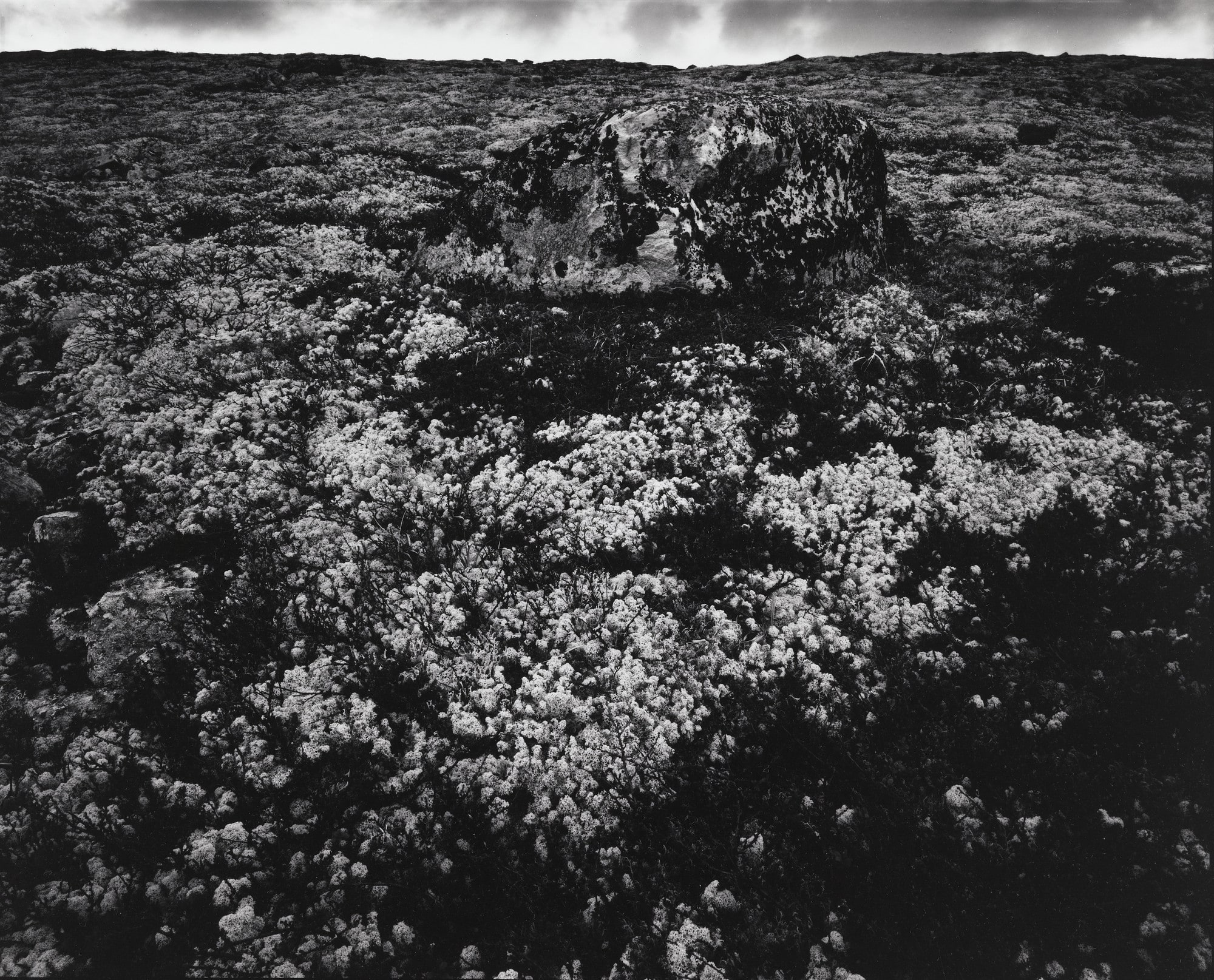 Untitled (Landscape with large stone, lichens)