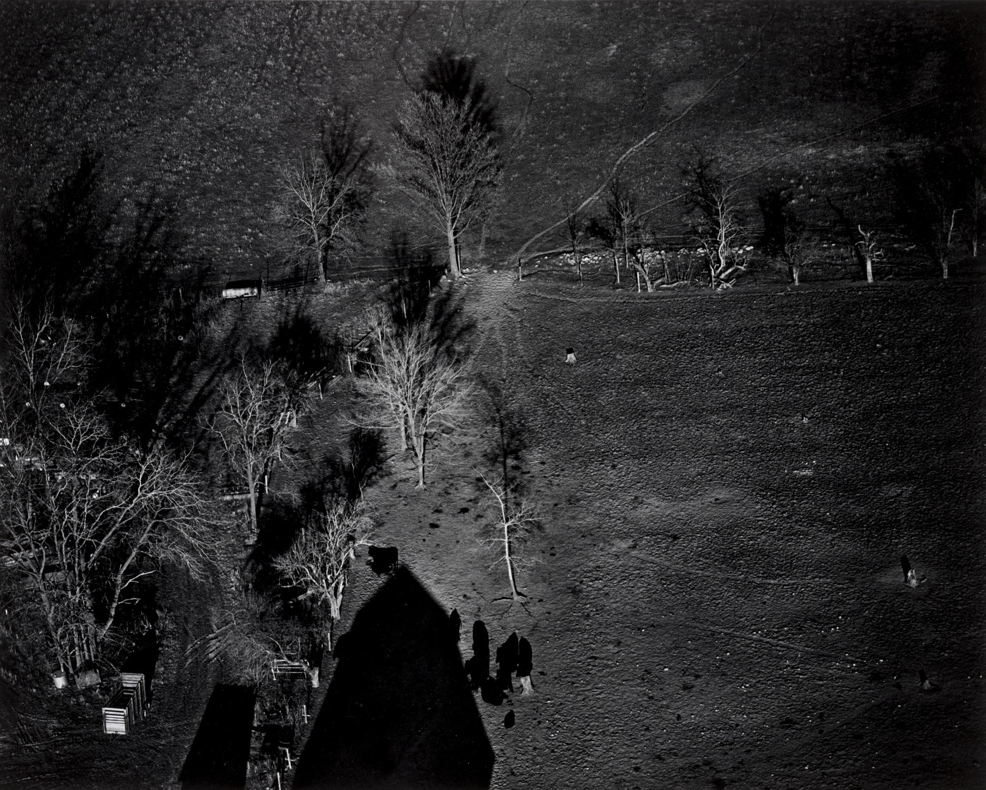 Barn Shadow, LeRoy, NY