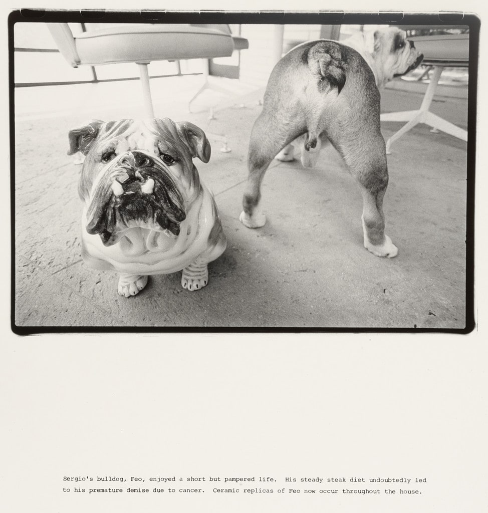 Sergio's bulldog, Feo, enjoyed a short but pampered life