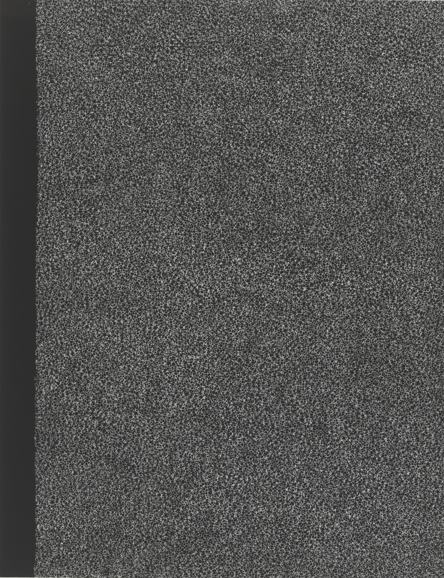 Untitled (Filter)