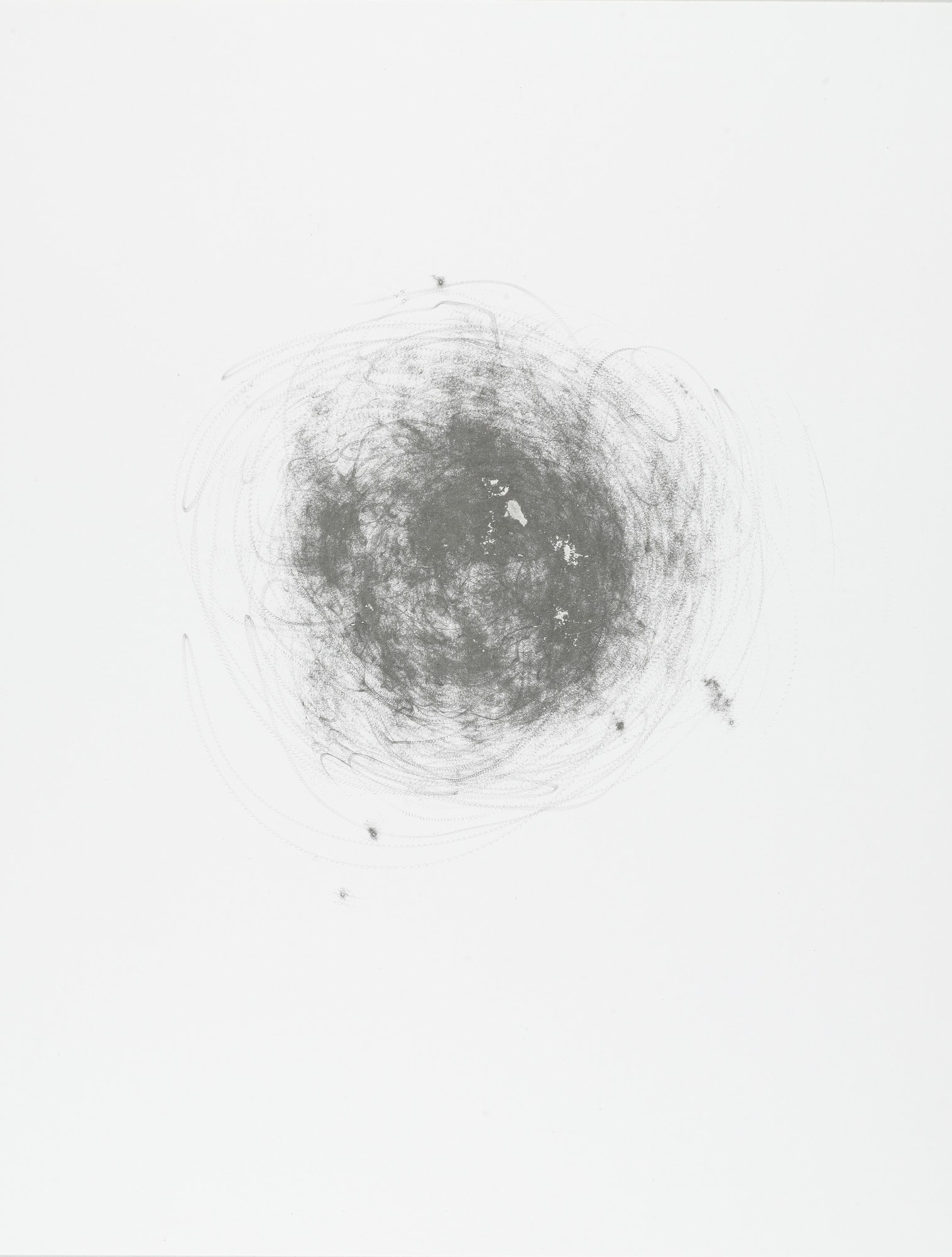 Untitled (Palm)