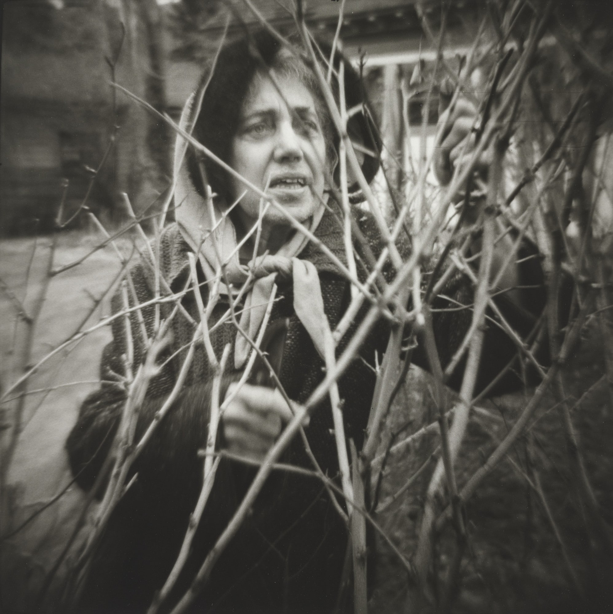 Rutgers Street, Woman Pruning the Shrubs