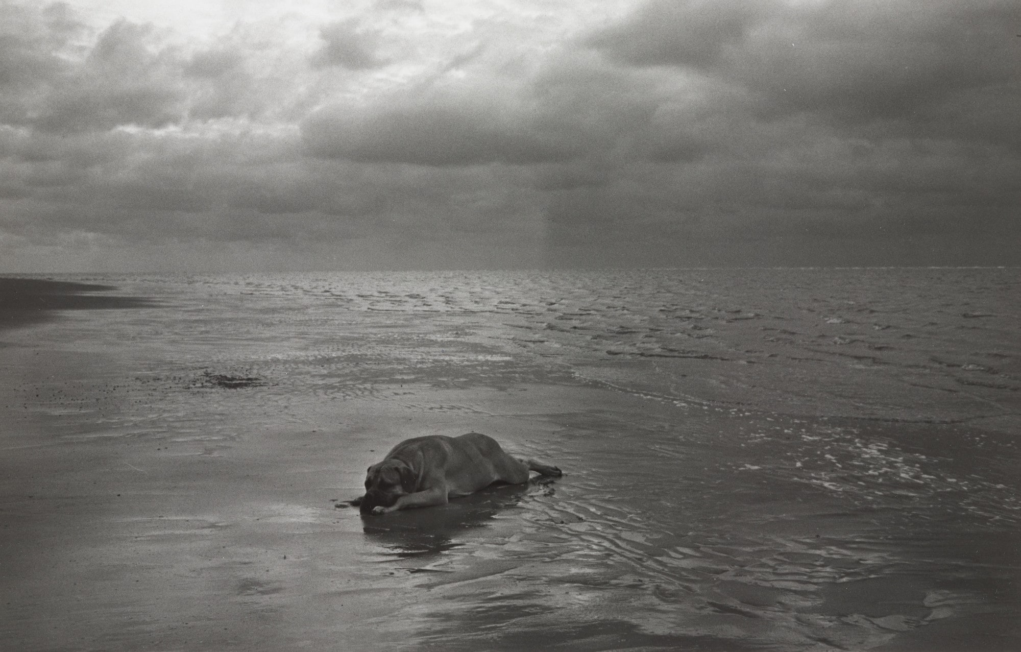 Melancholia