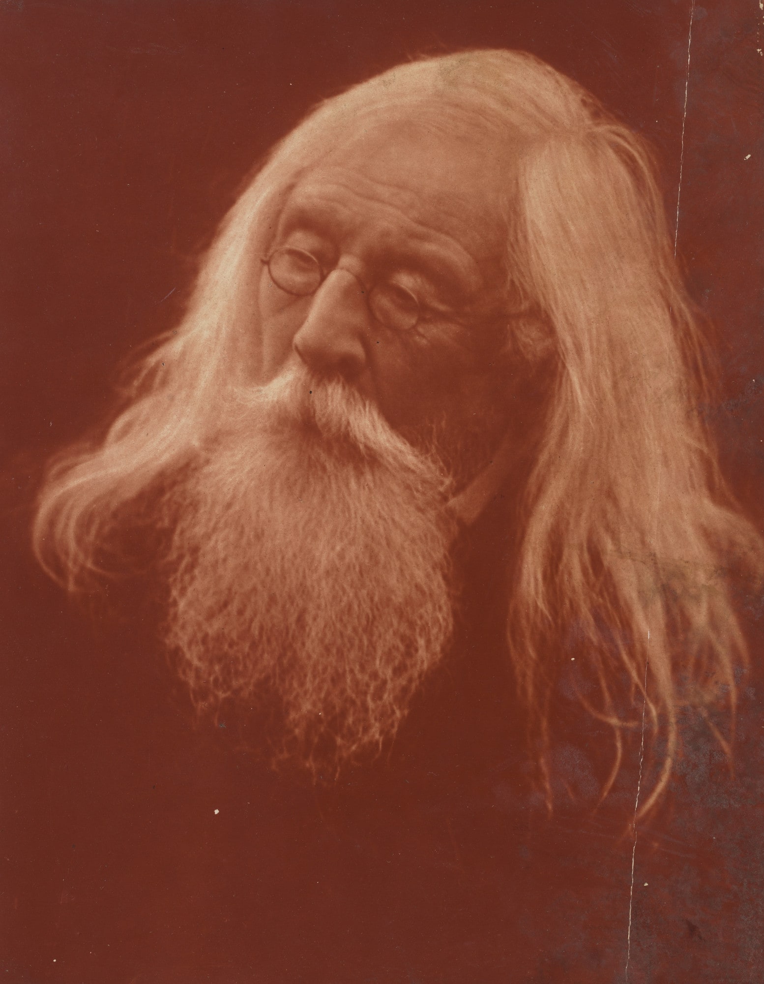 Portrait of Mr. Charles Hay Cameron