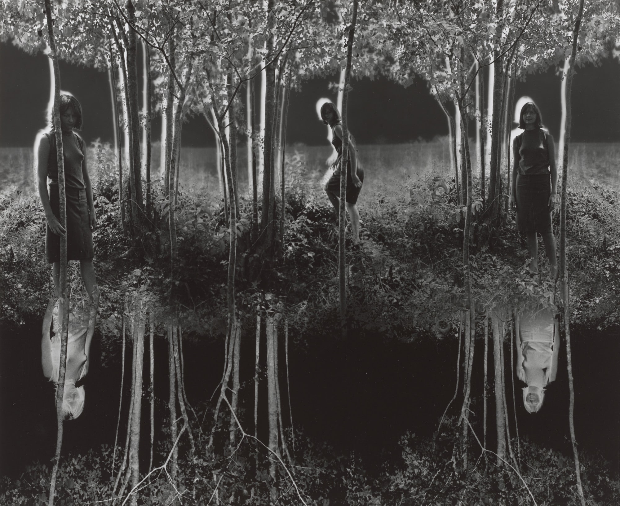 Small Woods Where I Met Myself