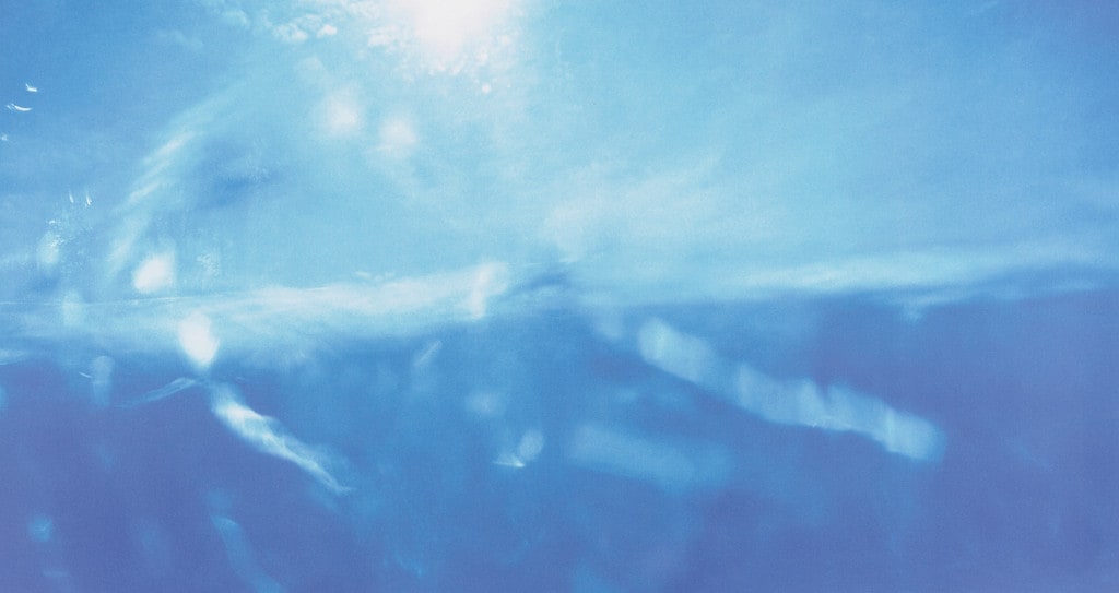 Two Sea Gulls from the series Time