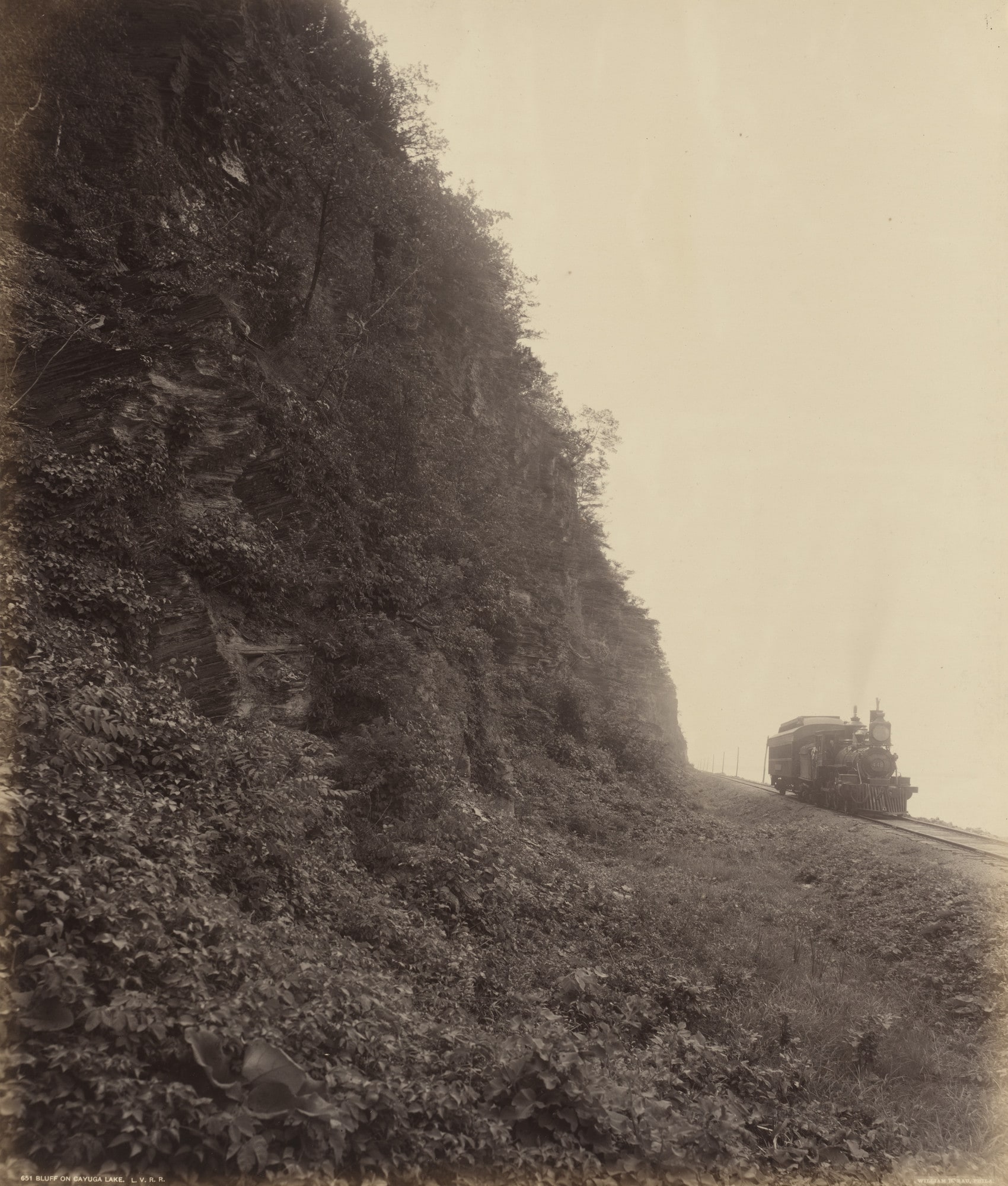 Bluff on Cayuga Lake, L.V.R.R.