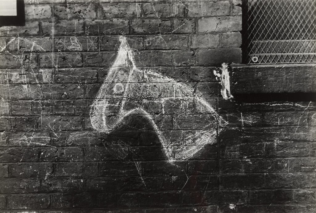 Horse's Head