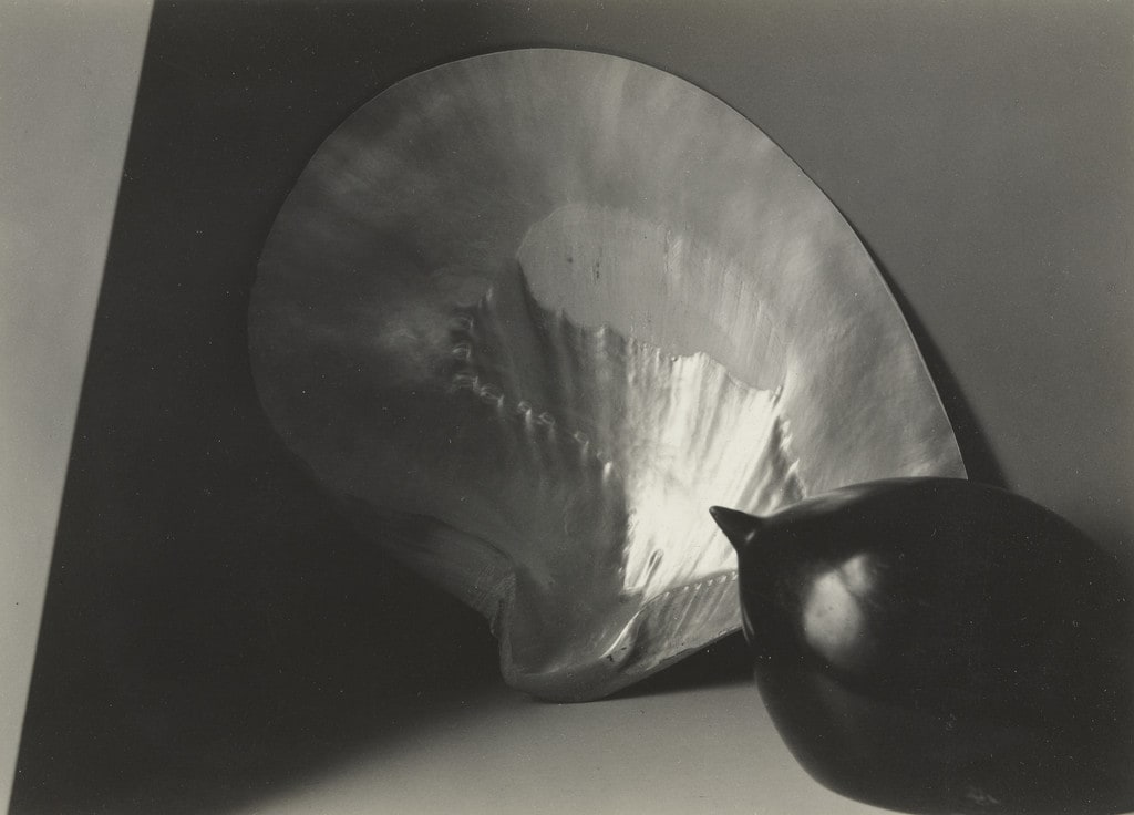 Shell