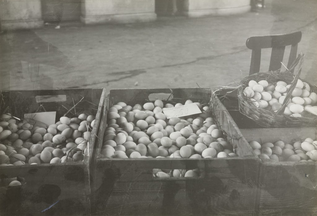 Eggs