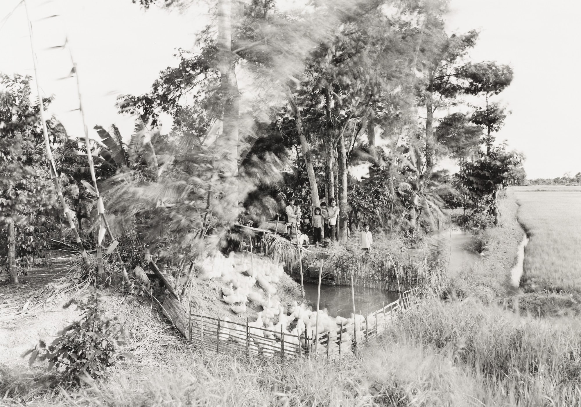 Untitled, Mekong Delta