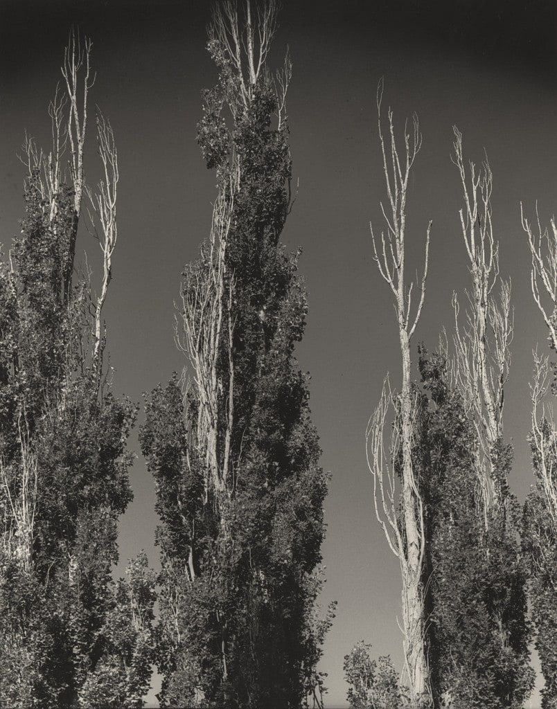 Untitled (Toquerville)