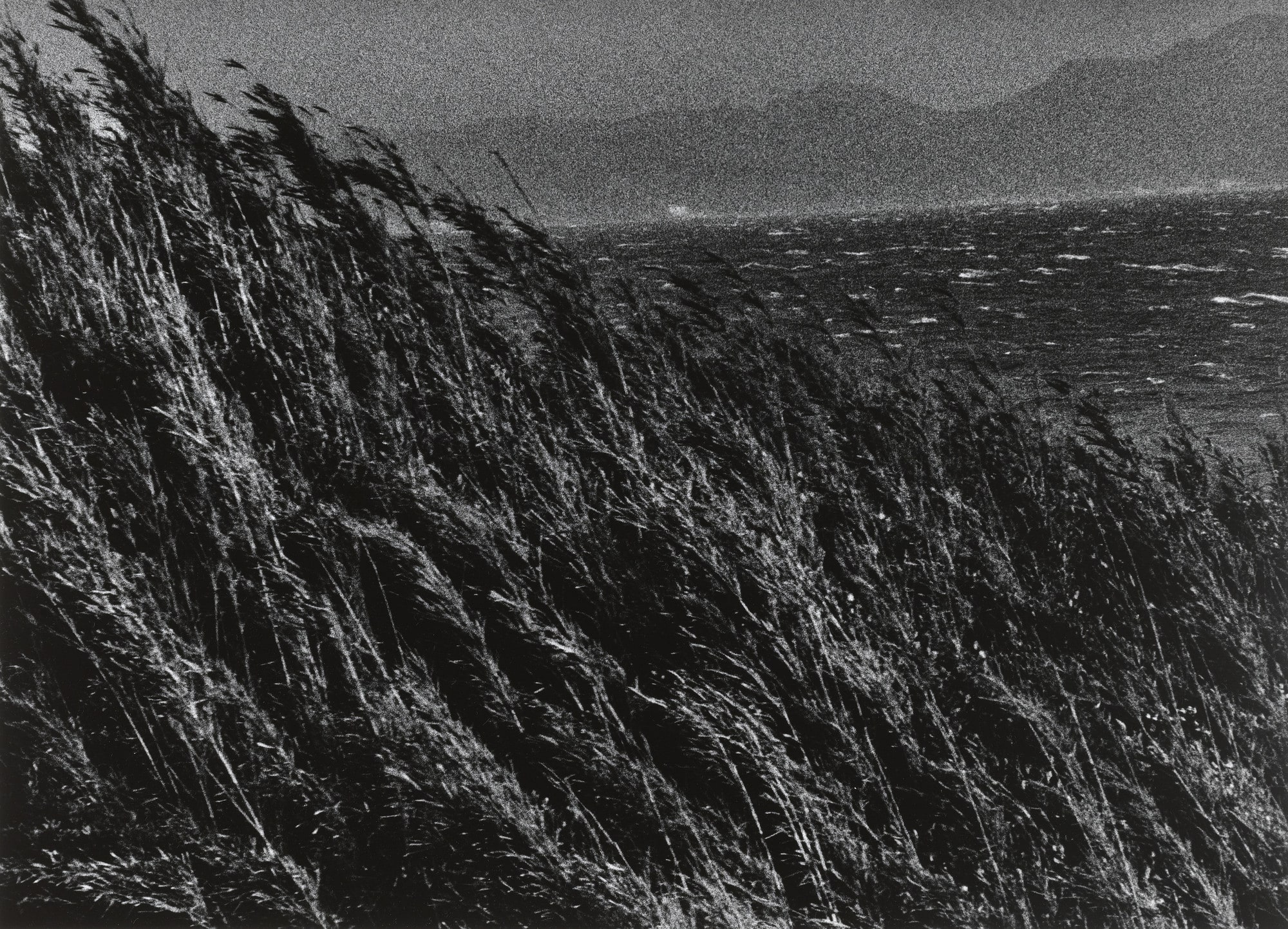 Untitled #5 from the series Yokosuka Story