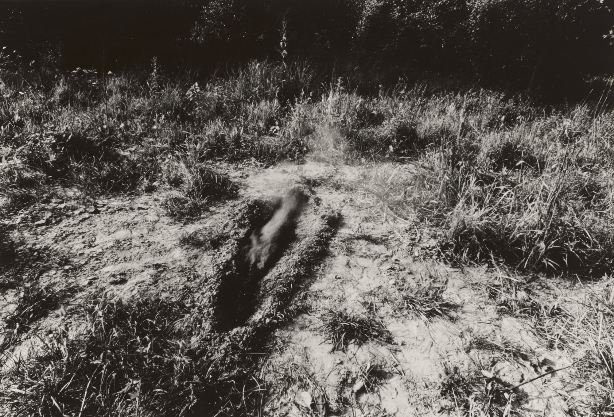 Untitled from the series Silueta