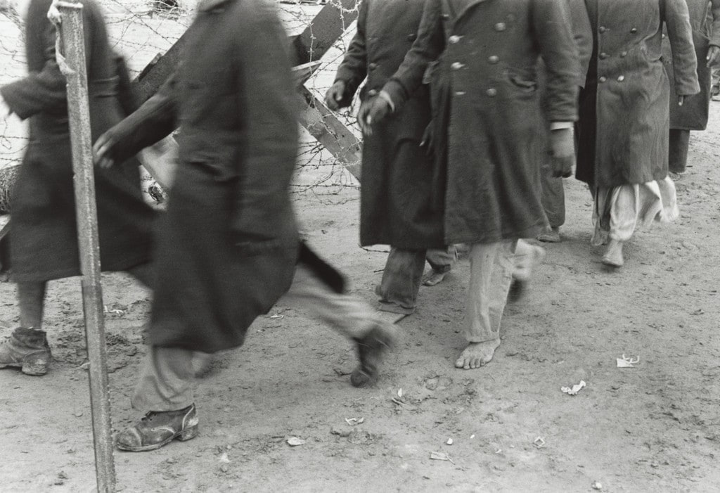 Egyptian Prisoners of War, Sinai Campaign