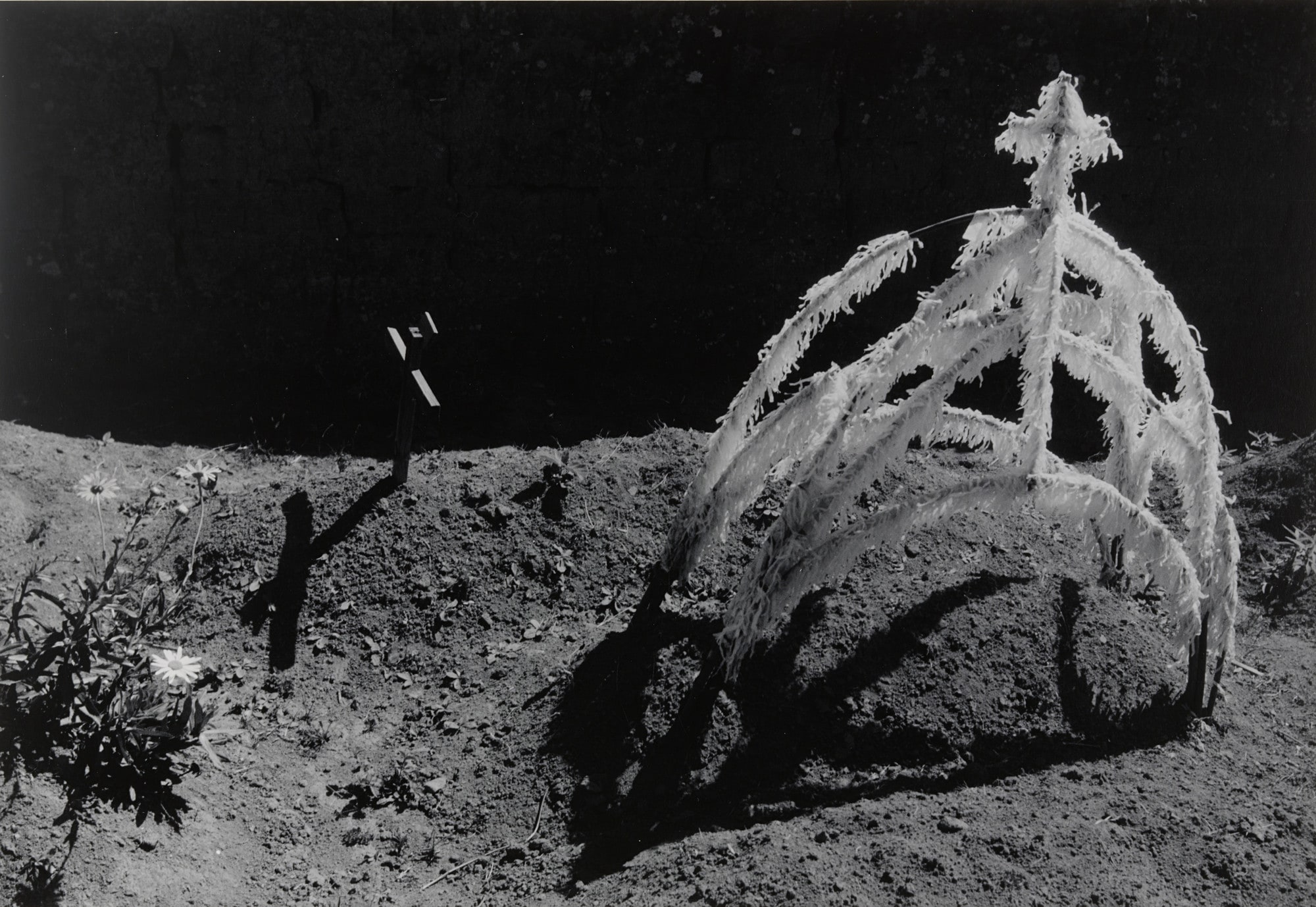 Tumba reciente (Recent Grave)
