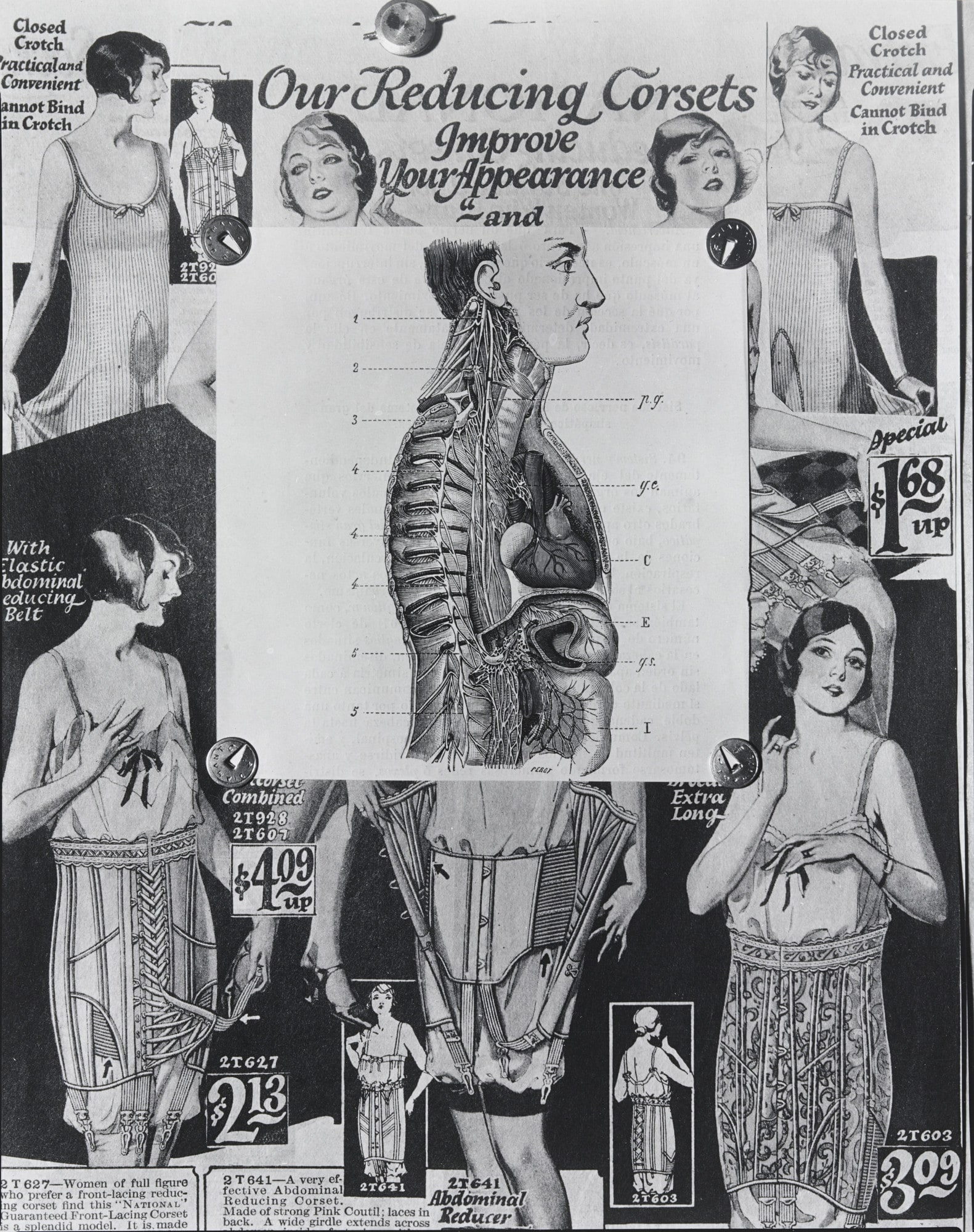 El Sistema nervioso del gran simpático (The Sympathetic Nervous System)
