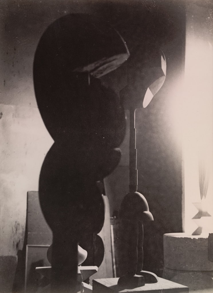 Untitled (View of the Studio with Eve, Plato, and Golden Bird)