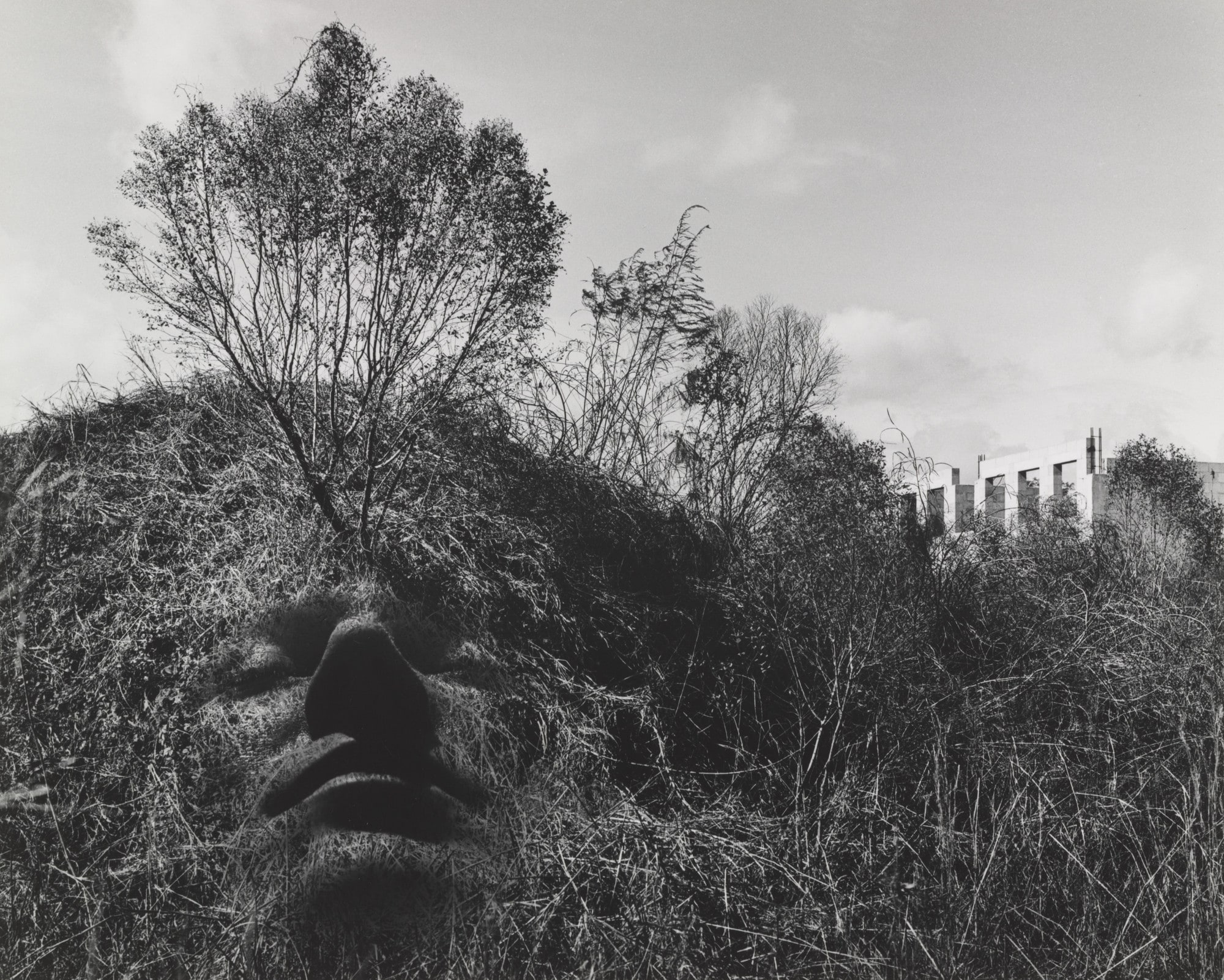Allegorical Landscape
