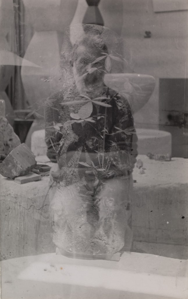 Untitled (self-portrait in the studio with Endless Columns I, III, III and Fish)