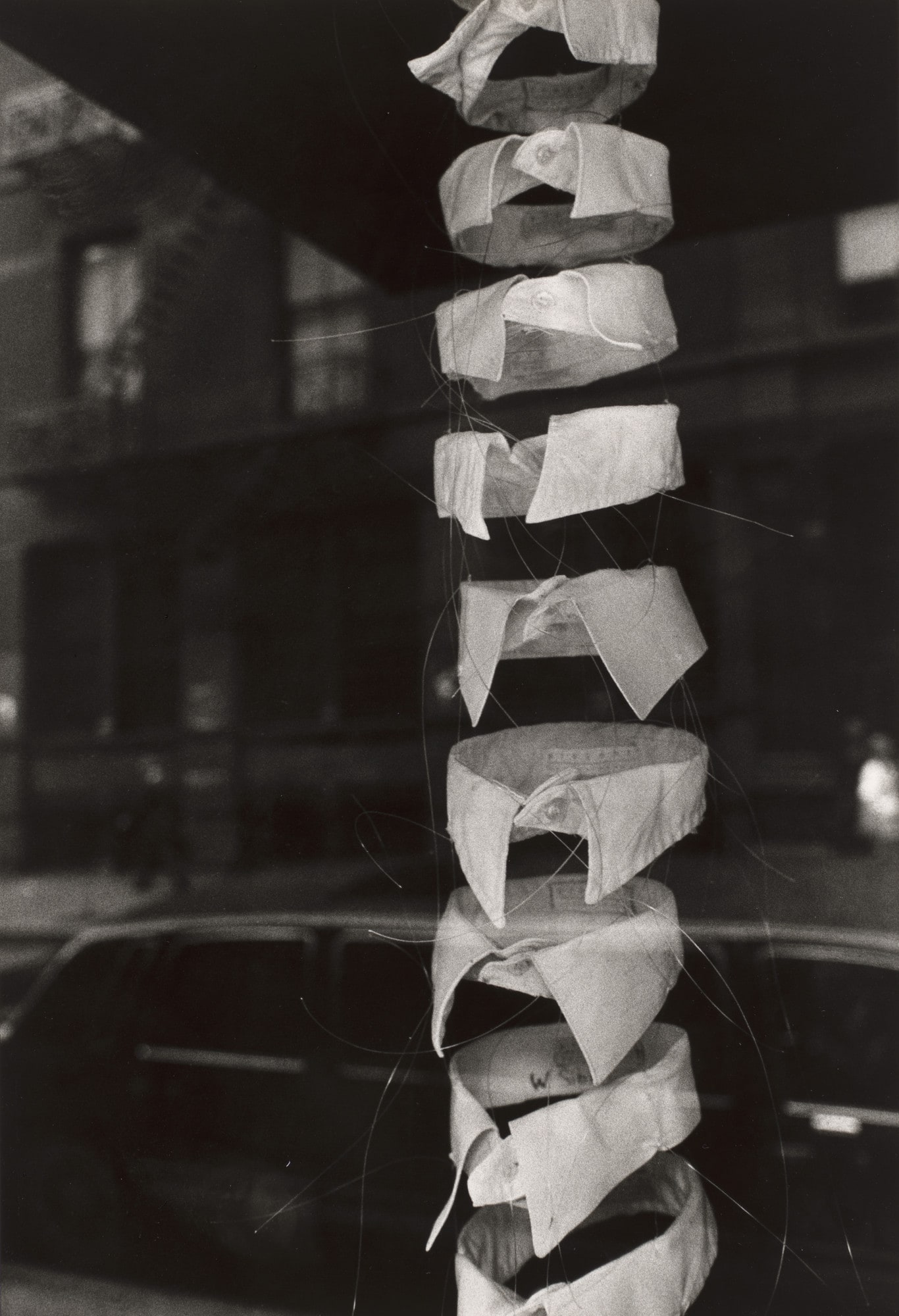Collared: New York City