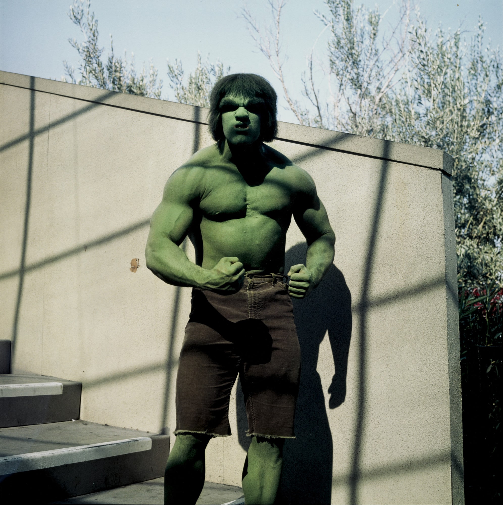 Hulk