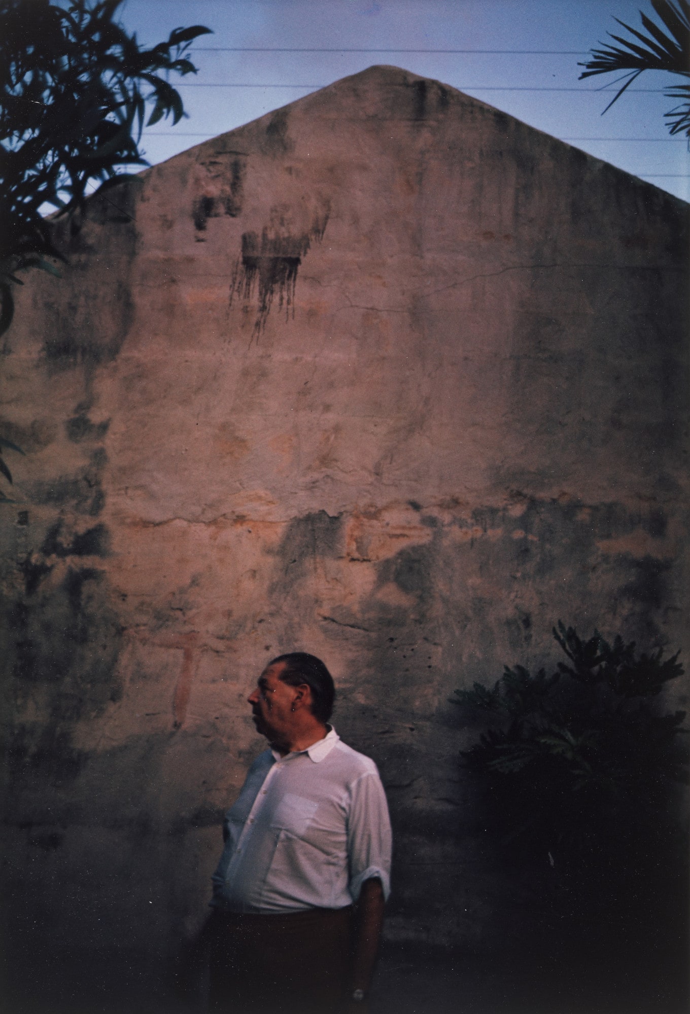 René d'Harnoncourt