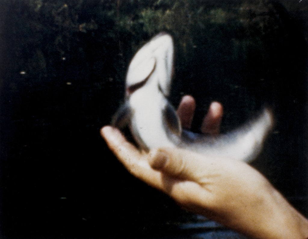Film Still from the Sultan Family Home Movies