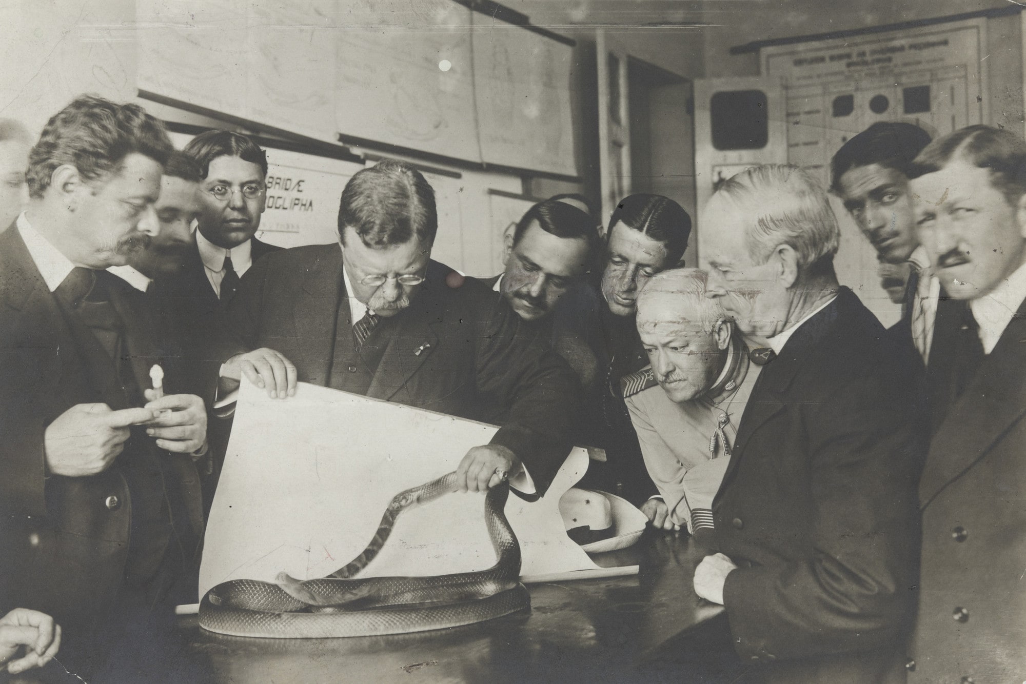 President Theodore Roosevelt in Sao Paolo