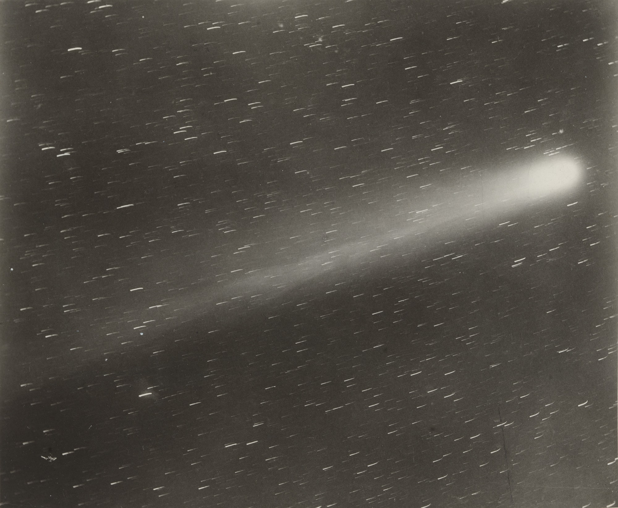 Halley's Comet