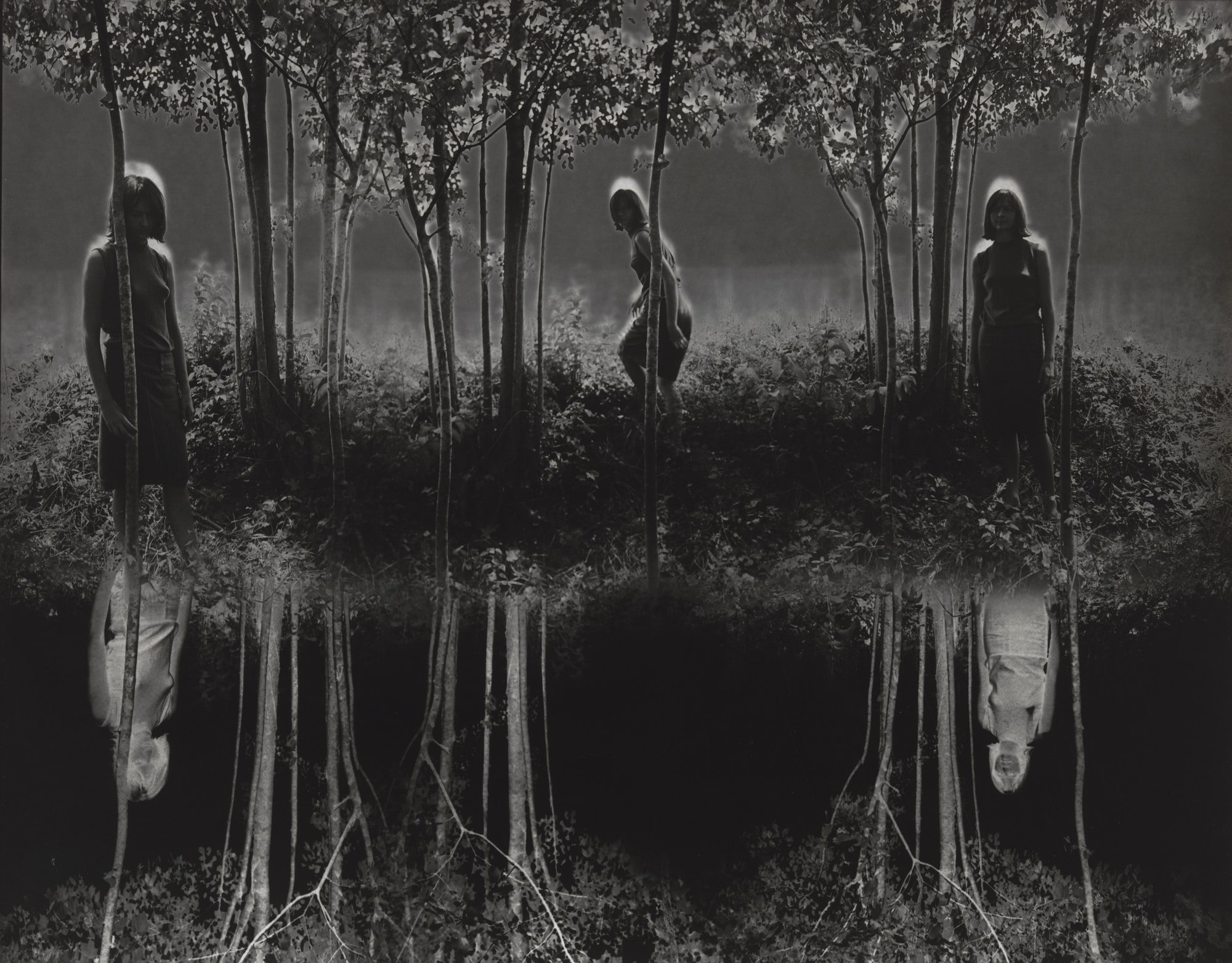 Small Woods Where I Met Myself