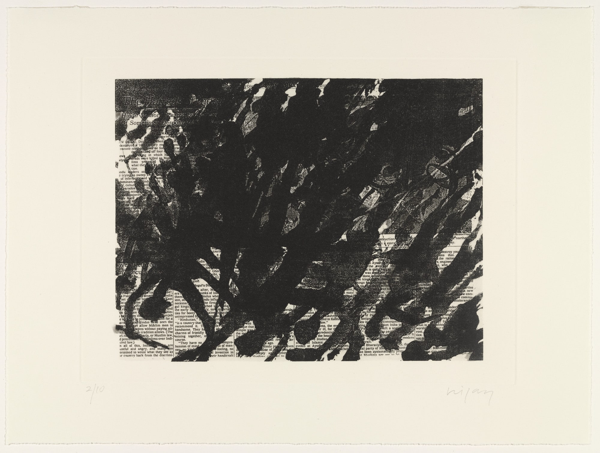 Untitled from the India Portfolio