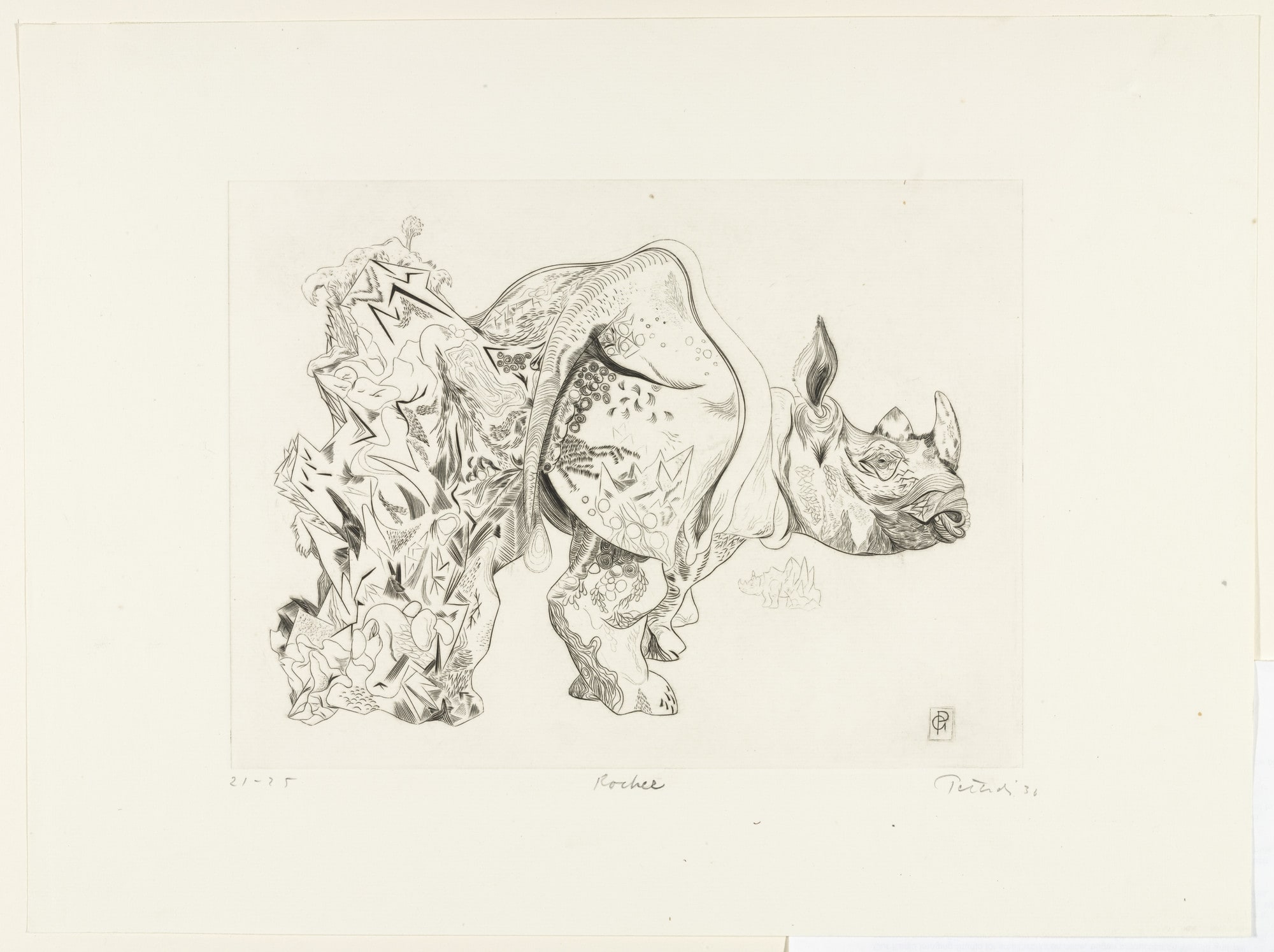 Rhinoceros