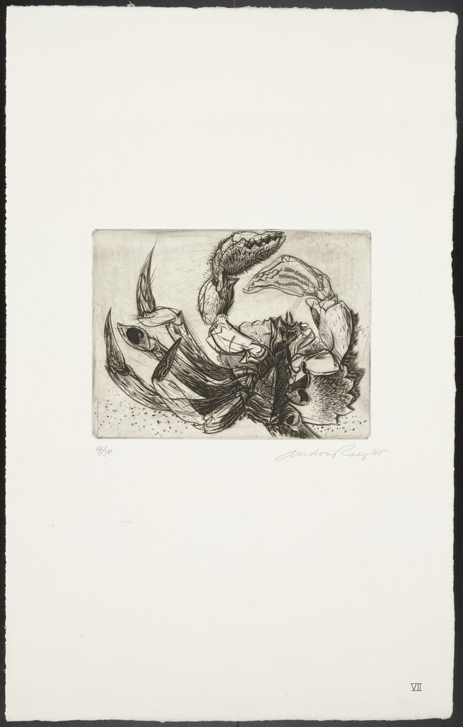 VII from Reign of Claws