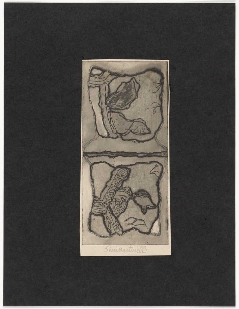 Untitled from 15 Original Etchings/Serigraphs