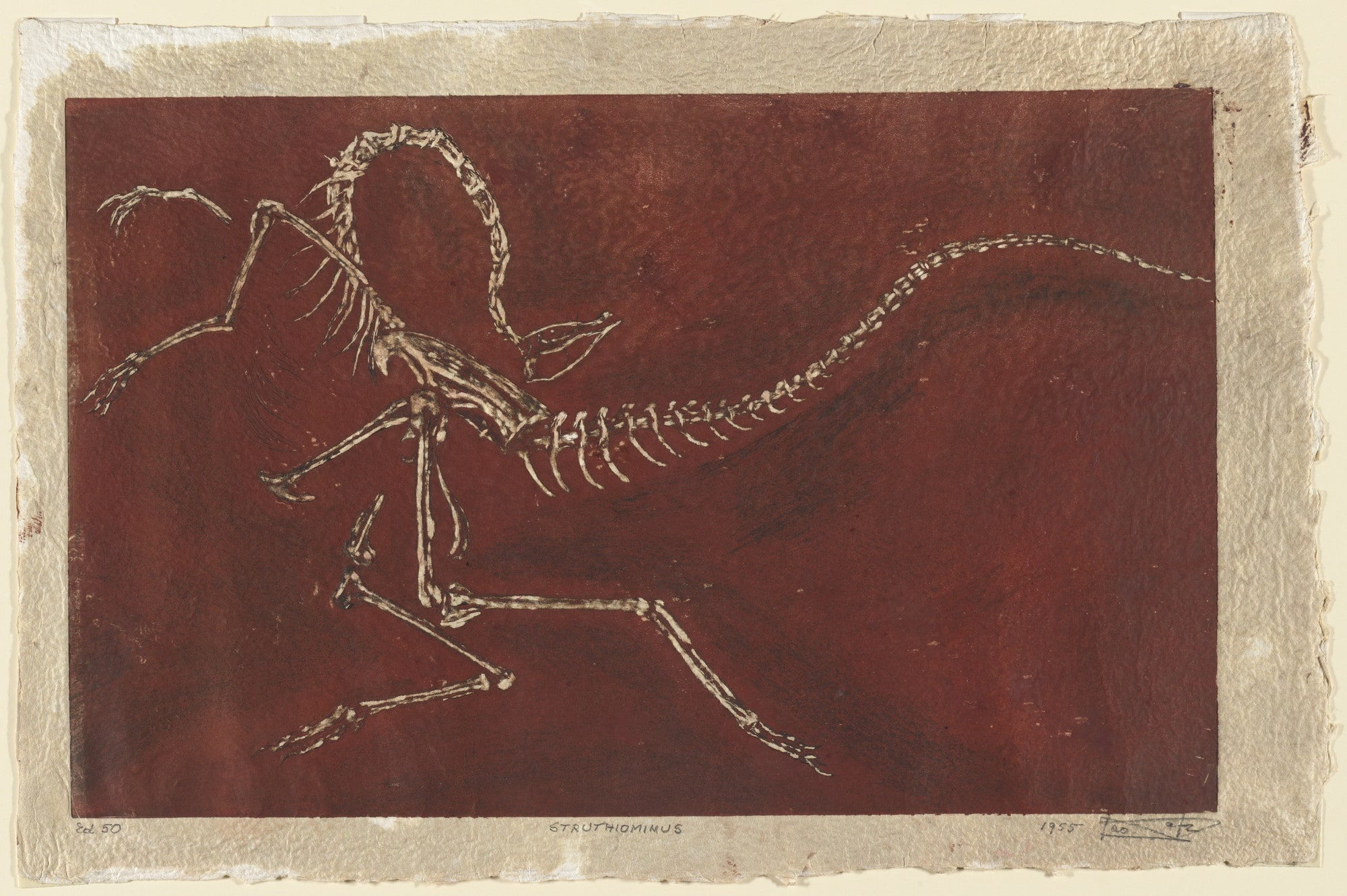 Struthiomimus