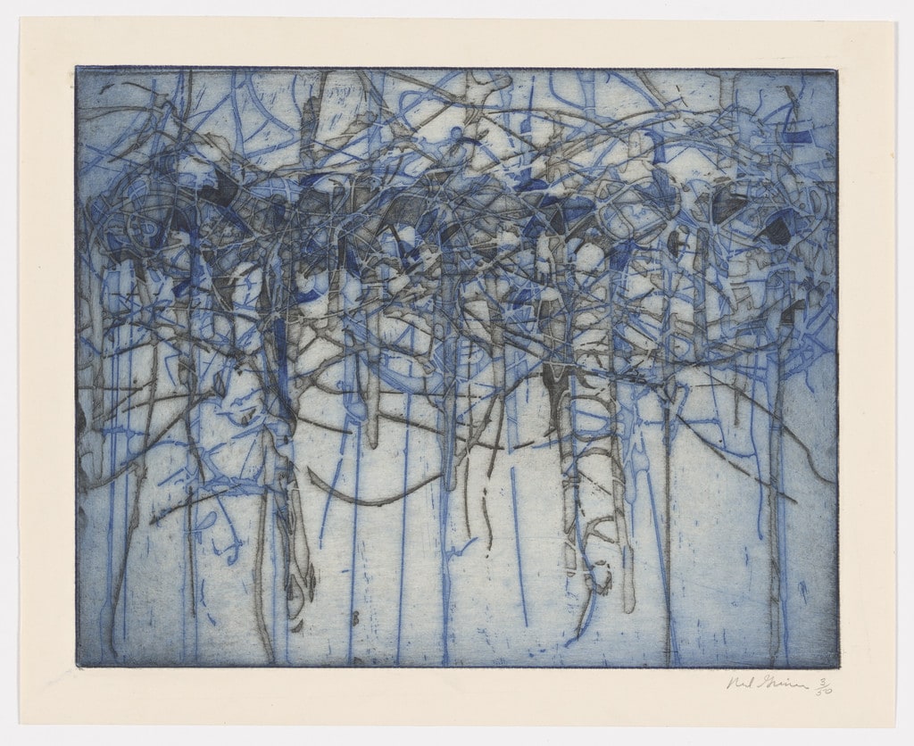 Untitled (Blue) from the portfolio Graphics 160