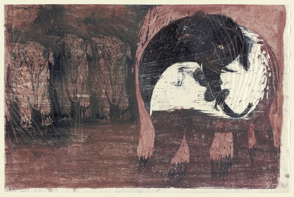 Elephants (Elefantes)