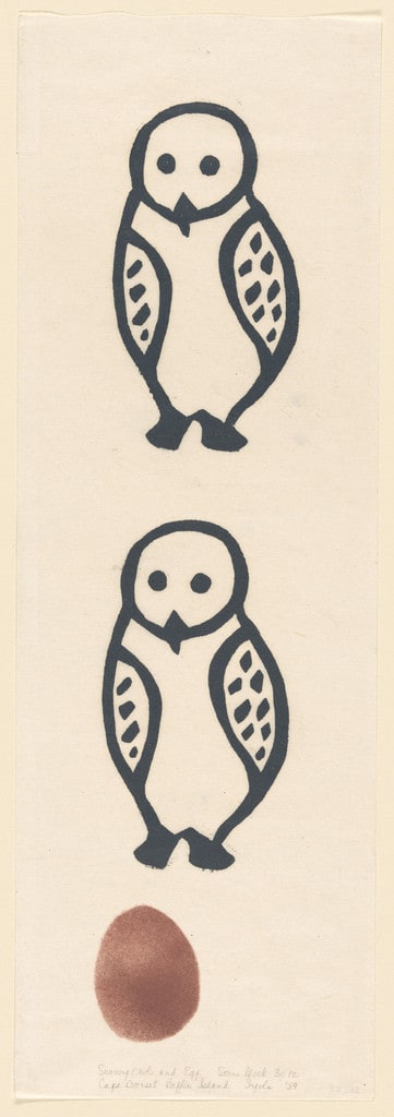 Snowy Owls and Egg